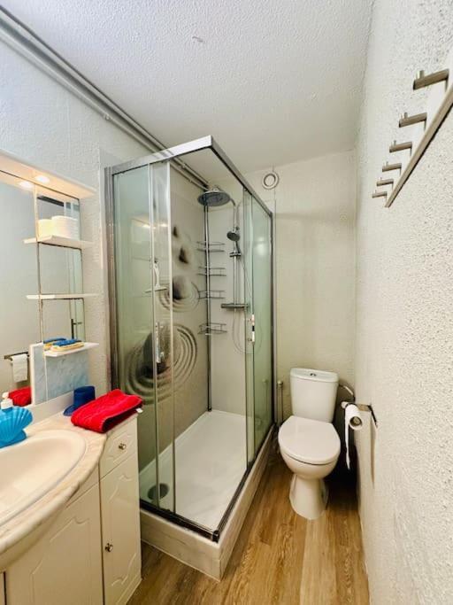 Fonctionnel - 2 Chambres - Bien Situe A 300M De La Plage - Parking Prive De Juin A Sept Кане-ан-Руссійон Екстер'єр фото